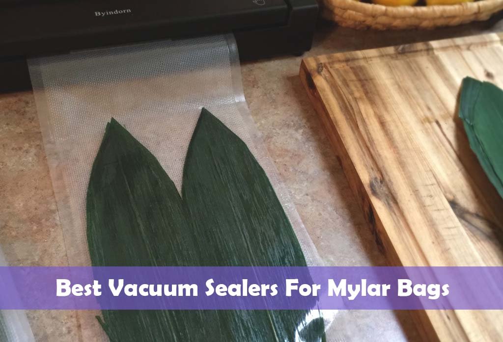 Best Vacuum Sealers For Mylar Bags