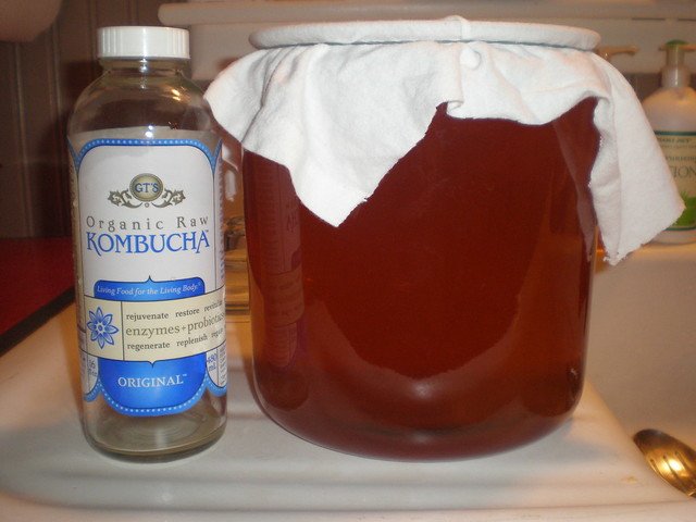 how long does kombucha last in the fridge?