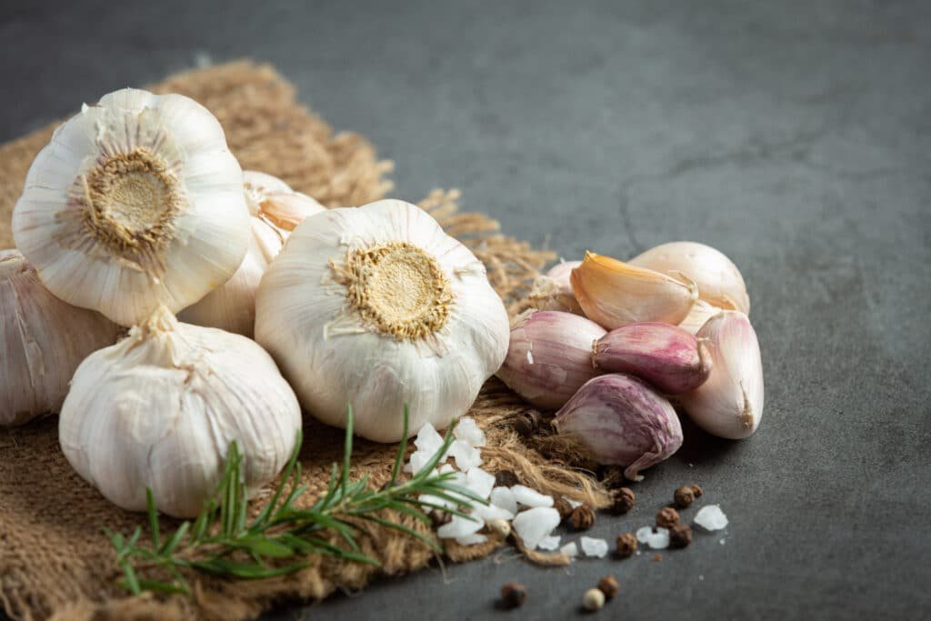Is sprouted garlic bad