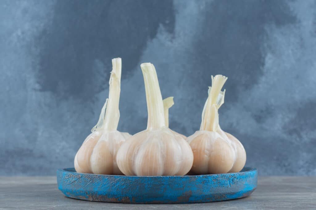 How to properly store and preserve garlic